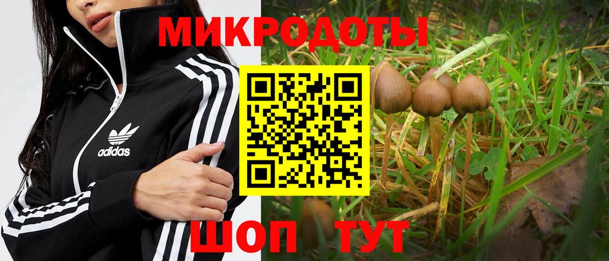 Галлюциногенные грибы мицелий  Галлюциногенные грибы GOLDEN TEACHER  Котельники  сколько стоит  Вход с VPN 